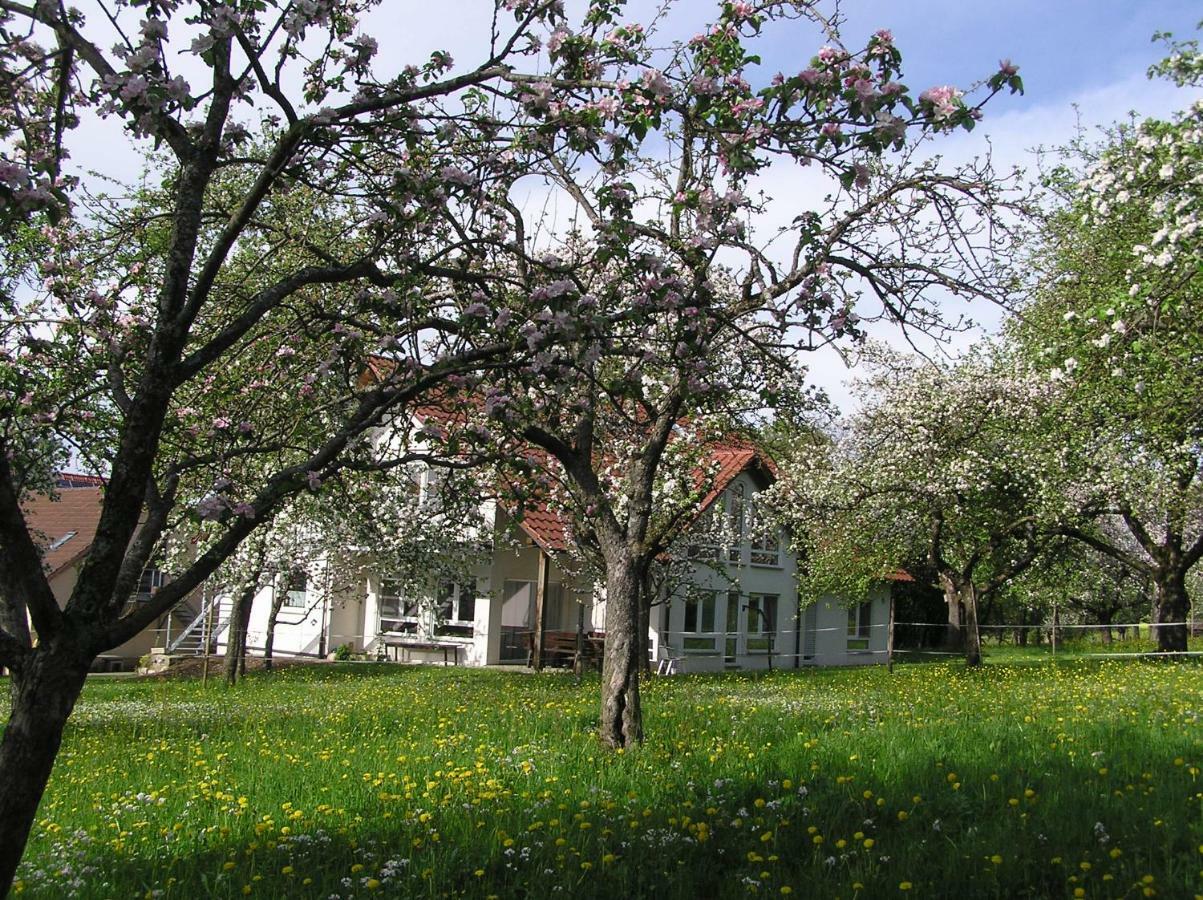 Apartment Hof Bauer *